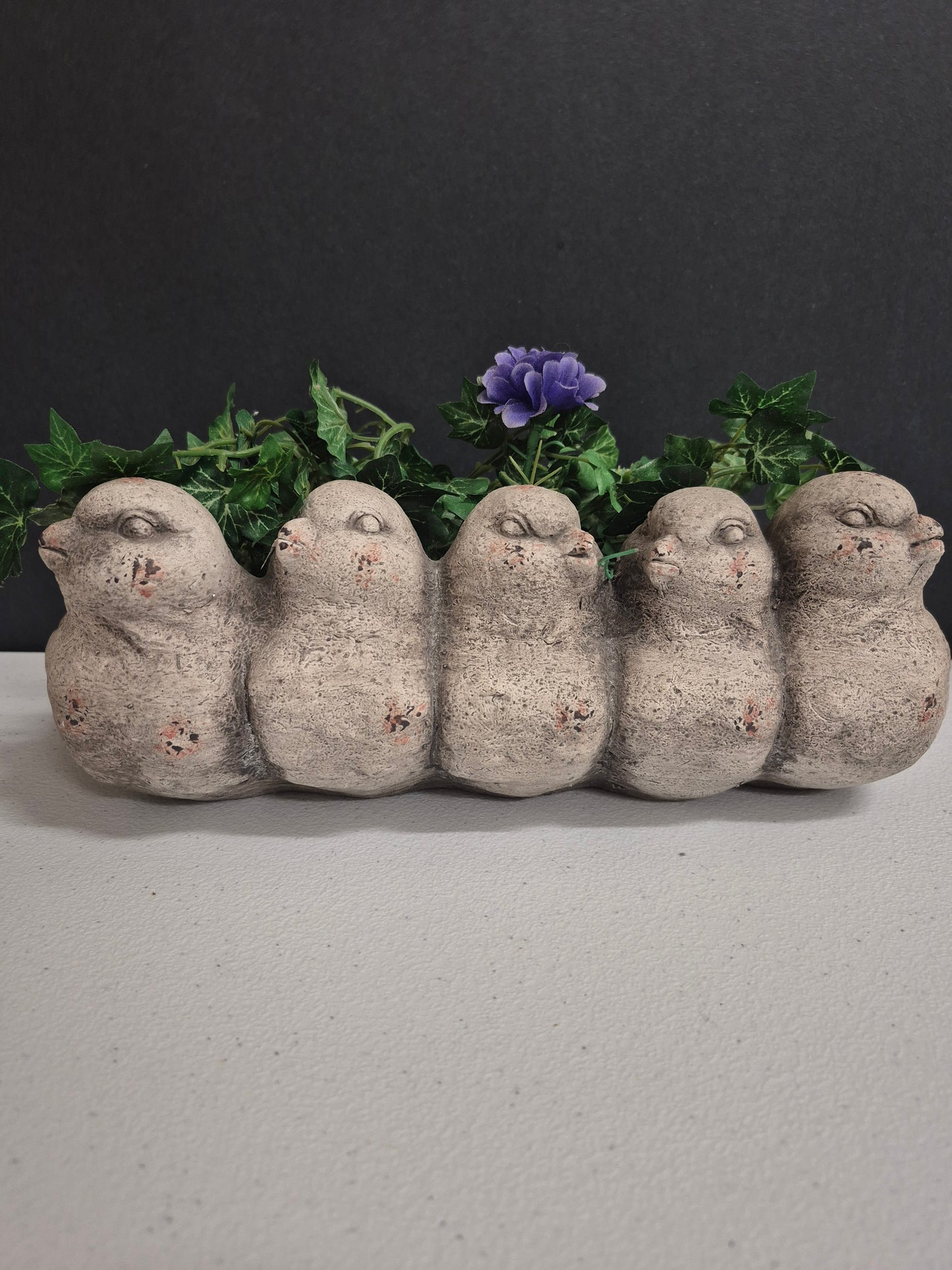 Bird Row Planter