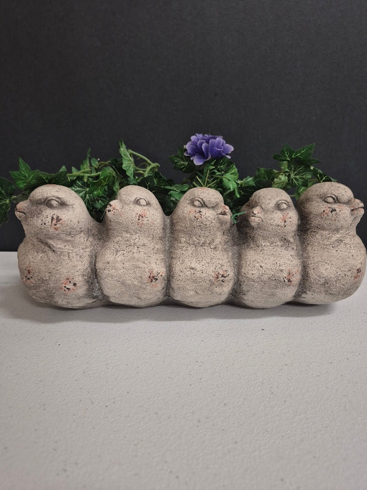 Bird Row Planter