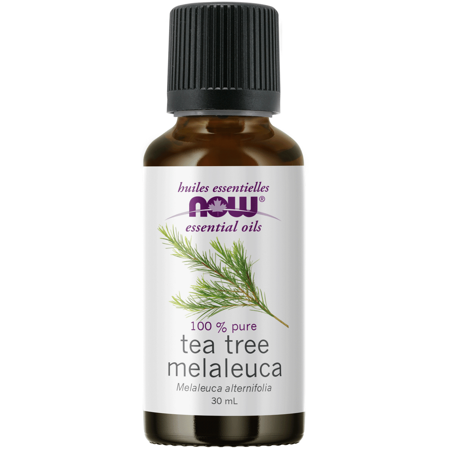 Now Brand Tea Tree Melaleuca Essential Oil 30 ml Happy Buddha