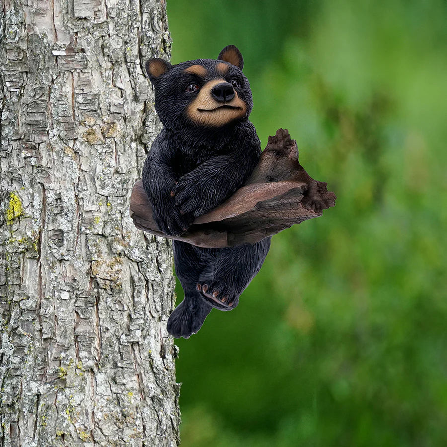 Bear Cub Hanging From Branch