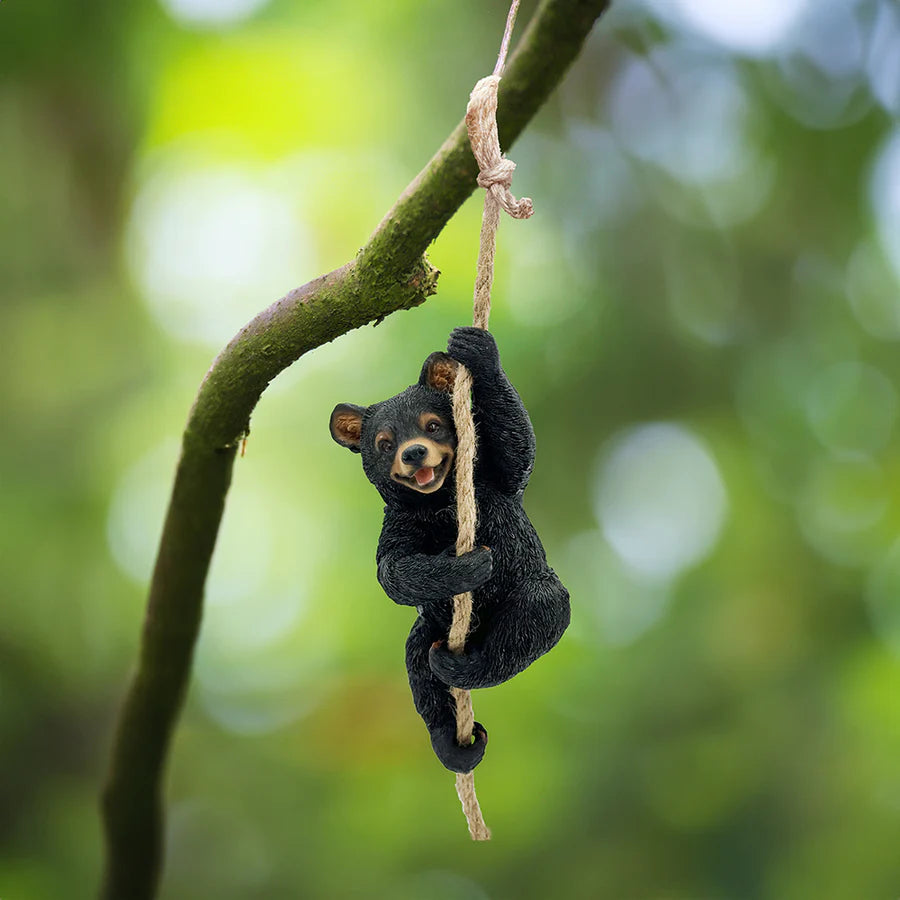 Bear Cub Hanging From Rope