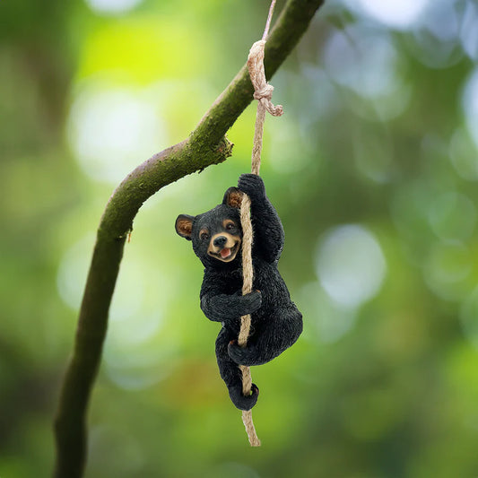 Bear Cub Hanging From Rope