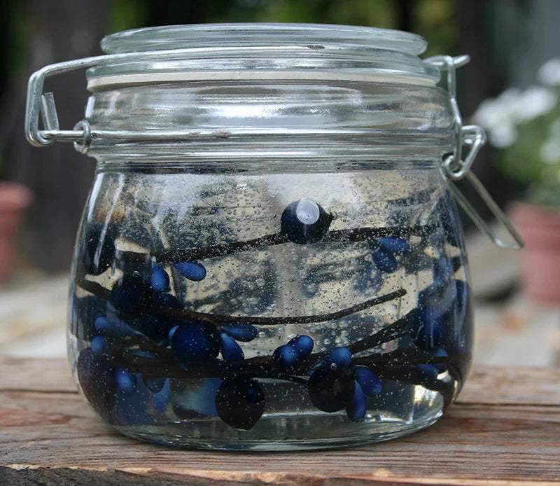 Gelmania Candle Northern Blueberry Happy Buddha