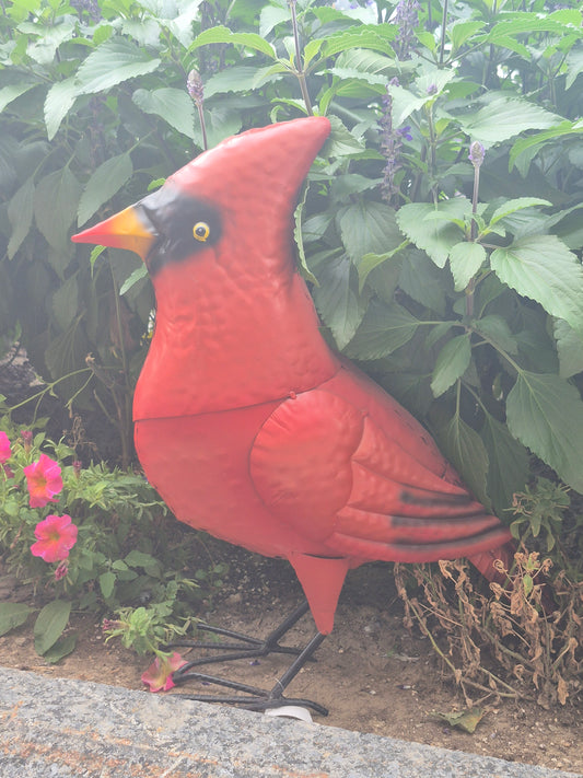 med metal cardinal
