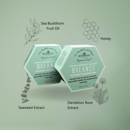 Bee By The Sea Balance Shampoo Bar