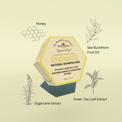 Bee By The Sea Energize Shampoo Bar