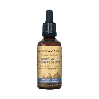 Lions Mane Medicinal Mushrooms Tincture 50 ML Drops