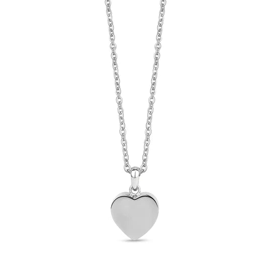 Heart Shape Steel Cremation Necklace 17''