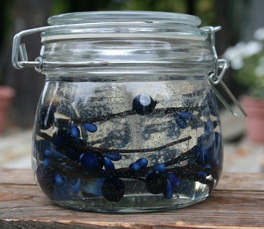 Gelmania Candle Northern Blueberry