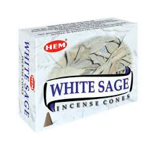 White Sage Cones
